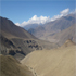 Mustang Trekking